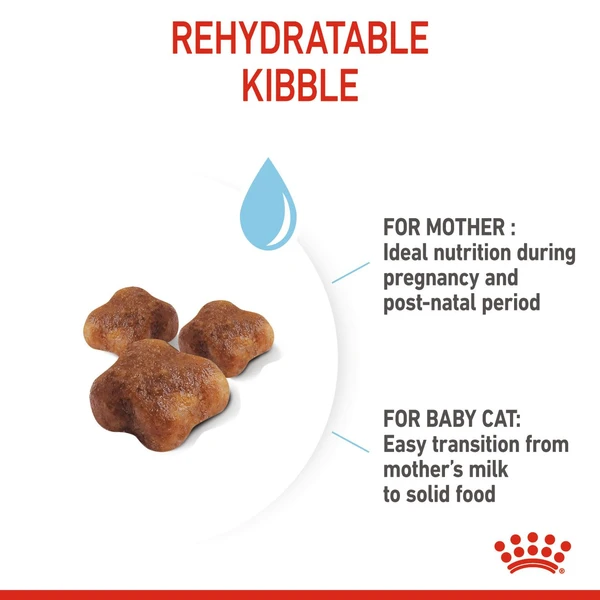 62ff5f2e_royal-canin-babycat-dry-food-400-gm
