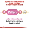 5ce2d912_royal-canin-persian-kitten-dry-food-400gm