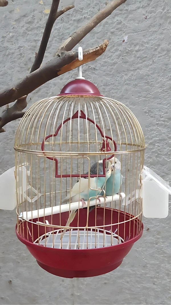 Elegant Cylinder-Shaped Bird Cage – Stylish & Spacious for Your Feathered Friend