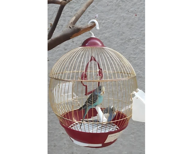 Stylish Lantern-Shaped Bird Cage – Elegant & Spacious