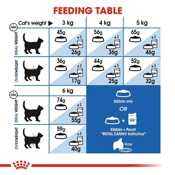 67f0f4ff_royal-canin-indoor-adult-dry-cat-food-400g
