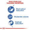 67f0f4ff_royal-canin-indoor-adult-dry-cat-food-400g