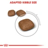 5ce67f3f_royal-canin-cat-urinary-care-dry-food-400g