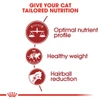 5cf68341_royal-canin-fit-cat-dry-food-400g