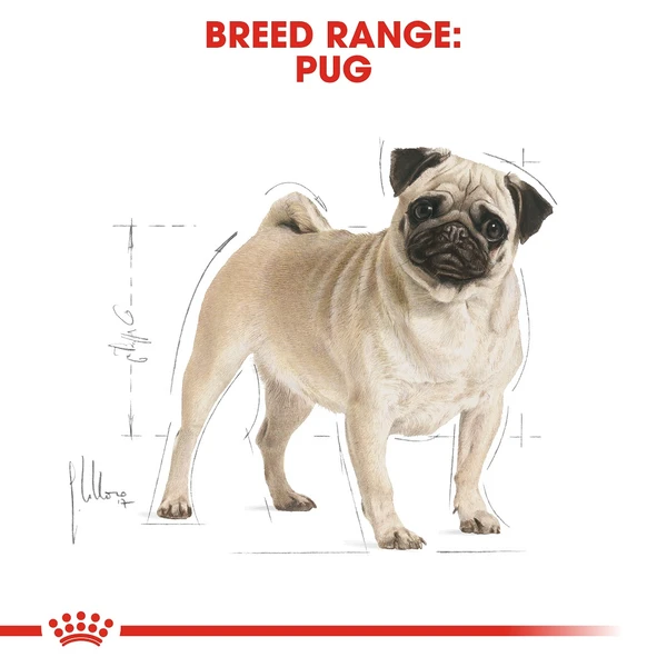5cfe7e78_royal-canin-pug-adult-1-5-kg