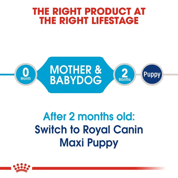 Expiry 6-2025 Royal Canin - Maxi Starter Dry Food 4kg 